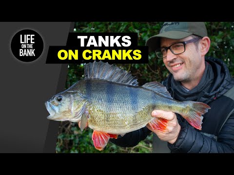 Видео: БАКИ НА ВОЛЧКАХ - Поймайте крупного окуня, ловя рыбу на воблеры.