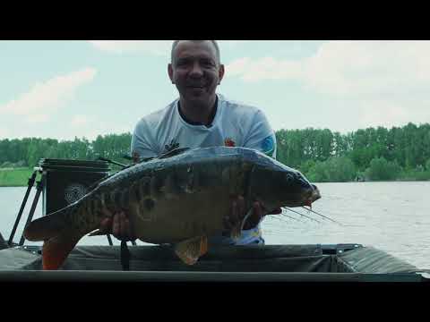 Видео: Павловский BigFish