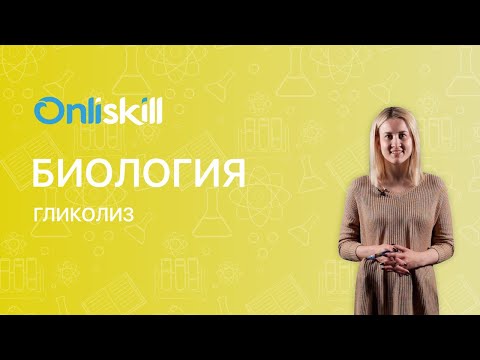 Видео: Биология 11 класс: Гликолиз. Видеоурок
