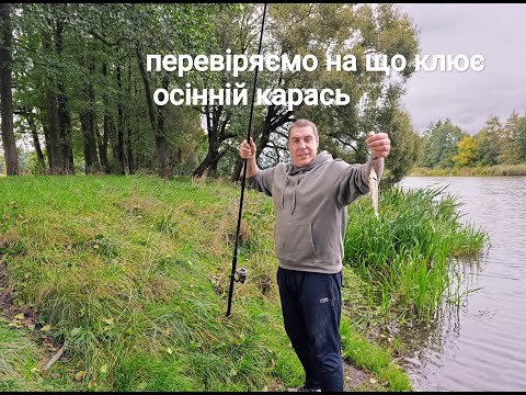 Видео: Галушки на вогні. Перевіряємо на що клює восени. ЛЯЩОВІ МІСЦЯ