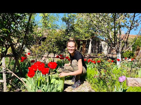 Видео: ДРУГИТЕ БЪЛГАРИ: Цвети за пермакултурата, цветята и подготовката за живот на село |Еп 11| Boho Soulz