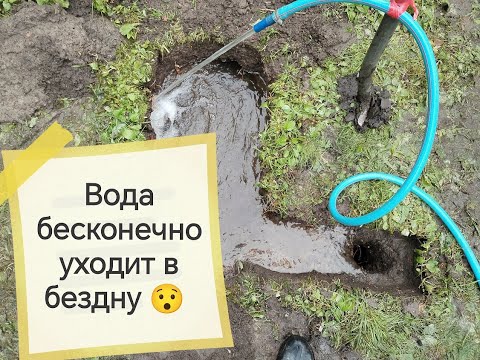 Видео: Куда уходит вода! Абиссинская в крупном песке с высоким дебитом.