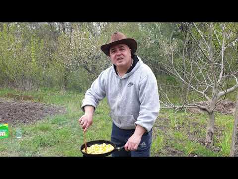 Видео: ГУМАТ КАЛИЯ для картошки. Выращиваем  органическую картошку. САЙТ https:// gumat.biz  066-2003004