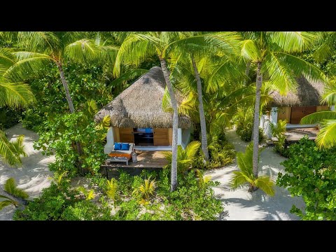 Видео: ALEX ЗАГРАНИЧНЫЙ  в прямом эфире!