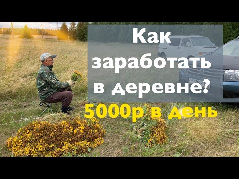 Видео: Как Заработать В Деревне? Сбор Трав