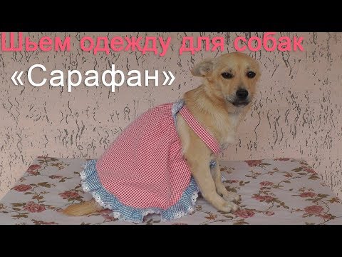 Видео: Шьем сарафанчик для собачки | Быстро и без выкройки