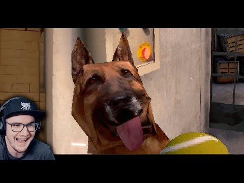 Видео: Собака 🐎 ► Валера Гостер ( Valera Ghosther ) | Реакция