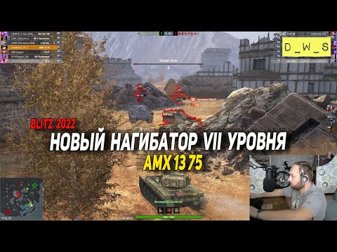 Видео: Новый нагибатор на VII уровне AMX 13 75 в 2022 Wot Blitz | D_W_S