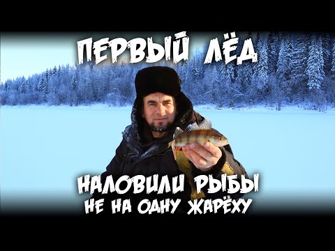 Видео: Первый лёд 2021 / Наловили рыбы не на одну жарёху