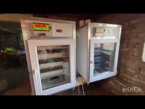 Видео: Отзыв инкубатор бони. Небольшой обзор. Не покупайте!