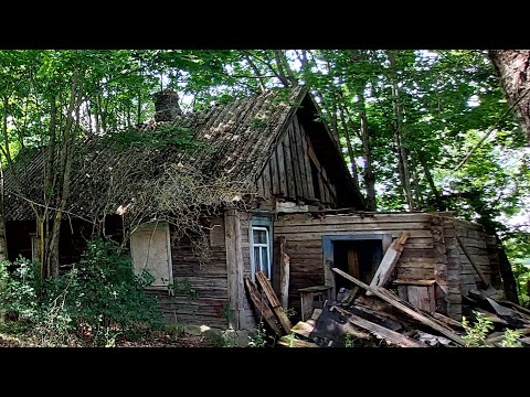 Видео: Нашёл ЗАБРОШЕННЫЙ хутор...