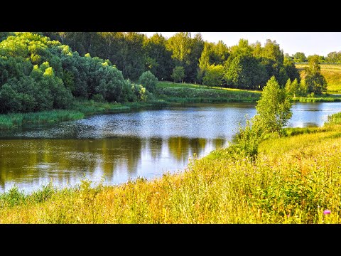 Видео: "На речку". Александр Райн.