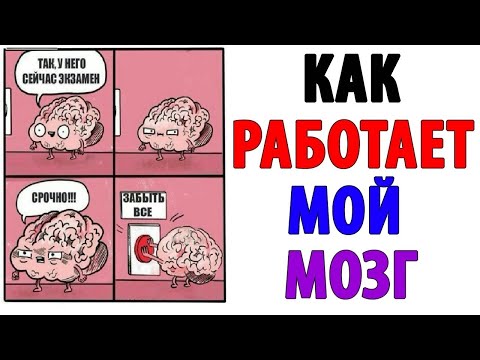 Видео: Лютые приколы. КАК РАБОТАЕТ МОЙ МОЗГ. Угарные мемы