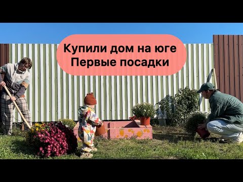 Видео: Купили дом на юге и переехали в деревню