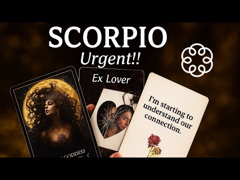 Видео: СКОРПИОН *СРОЧНО* СМОТРИ ЭТО 24 ОКТЯБРЯ. ОНИ ЖАЖДУТ ТЕБЯ✨👩‍❤️‍💋‍👨💎 УМИРАЮ ОТ НЕПРИИМСТВА РАССКАЗА...