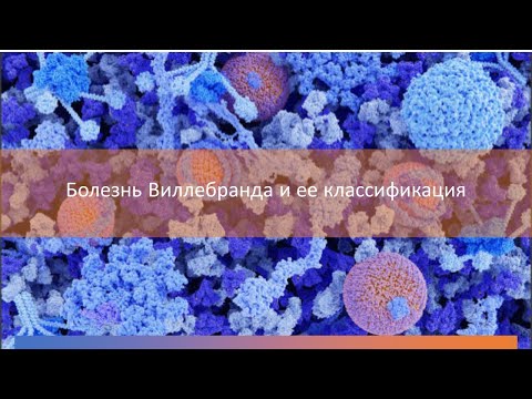 Видео: Классификация Болезни Виллебранда. Тромботическая тромбоцитопеническая пурпура