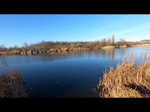 Видео: Фідерна риболовля в новому 2025 році