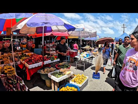 Видео: КОГДА ВЫ В ПОСЛЕДНИЙ РАЗ ЕДЕЛИ ТАКУЮ РЫБУ? || НАСТРОЕНИЕ НА РЫНКЕ МОНРЕПО В ВОСКРЕСЕНЬЕ #205