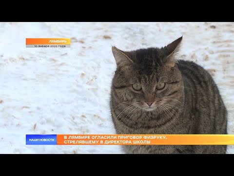 Видео: В Лямбире огласили приговор физруку, стрелявшему в директора школы