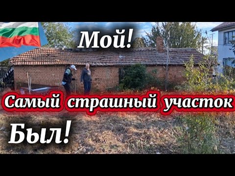 Видео: Болгария. Цена. Чистим участок с работниками. 