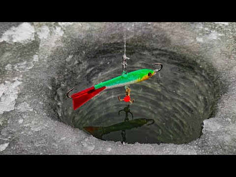 Видео: ЭТОТ БАЛАНСИР СДЕЛАЛ ВСЮ РЫБАЛКУ!!! ЗЛЫЕ УДАРЫ В РУКУ! Зимняя рыбалка. Эхолот Калипсо. Рыбалка 2025
