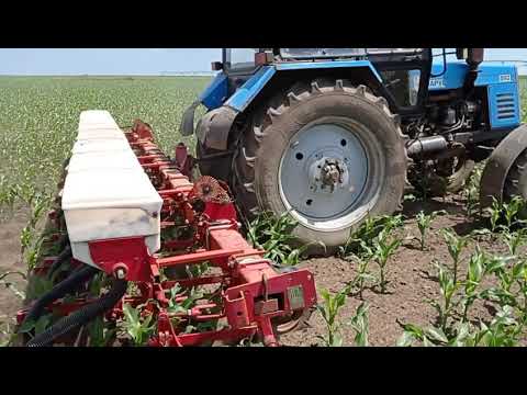 Видео: Внесение ам. селитры на кукурузу ДКС 4590!!!