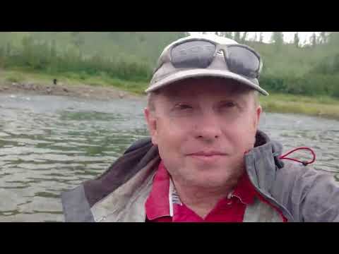 Видео: Медведь домушник, клёвая рыбалка на хариуса, Норильск 08 2023
