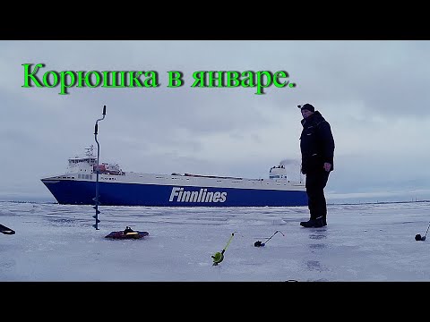 Видео: Ловля корюшки на Финском заливе. Рыбалка в Ленинградской области.