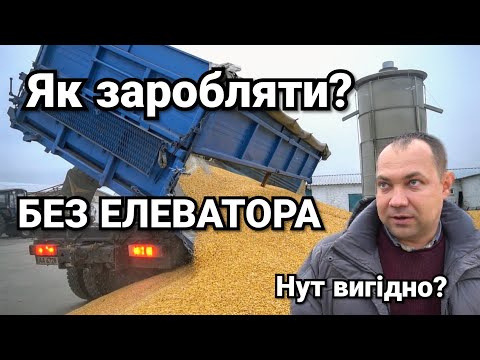 Видео: Почему фермер отказался от услуг Элеватора, за что покупает дорогую технику? Что выгодно сеять