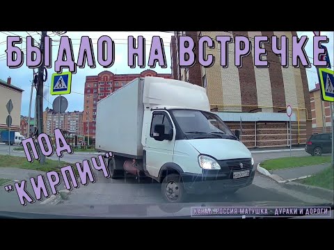 Видео: Быдло на встречке #197! Подборка на видеорегистратор!