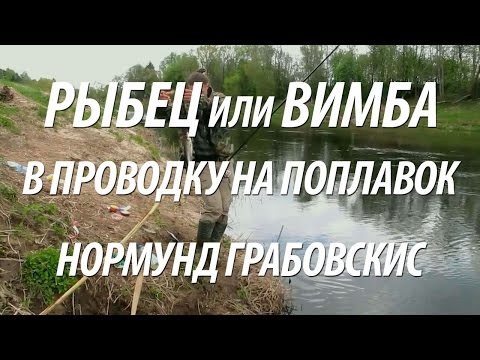 Видео: РЫБА РЫБЕЦ ИЛИ ВИМБА - ЛОВЛЯ НА ПОПЛАВОК. РЫБАЛКА В ПРОВОДКУ С НОРМУНДОМ ГРАБОВСКИСОМ НА МАЛОЙ РЕКЕ