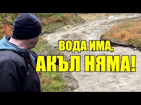 Видео: ВОДА ИМА, АКЪЛ НЯМА!