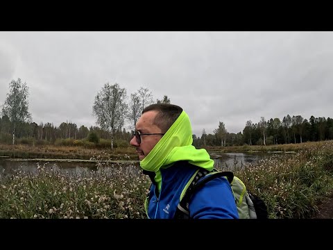 Видео: Парк Зверинец. Гатчина