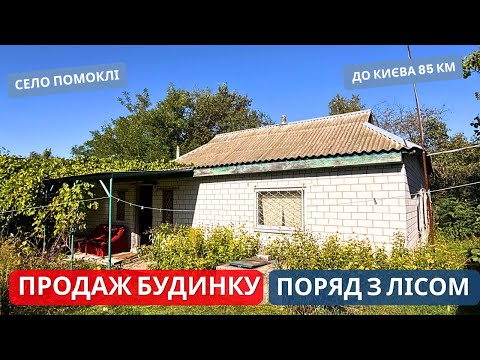 Видео: Будинок посеред лісу - село Помоклі 85 км до Києва 