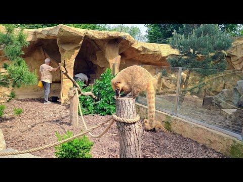 Видео: Eko Park Piešťany Slovensko. Эко Парк в городе Пьештяны (Словакия)
