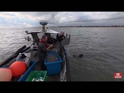 Видео: Ещё один самостоятельный запуск сельди. Дрифтерные сети и кормление тюленей. Рыбалка с лодки на б...