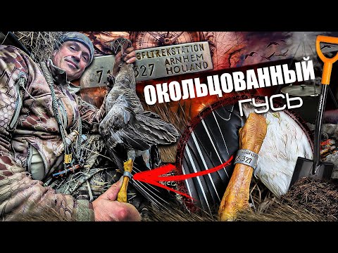 Видео: Сложная Охота на гуся: Долгожданный трофей. Ночевка в палатке, быт.