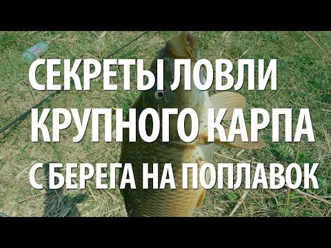 Видео: РЫБОЛОВНЫЕ ПОПЛАВОЧНЫЕ СНАСТИ и ПРИКОРМКА для РЫБАЛКИ на КРУПНОГО КАРПА