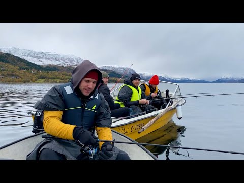 Видео: Новички в море и Такой улов… ОСЬМИНОГ, АКУЛА!! Рыбалка с лодки в Норвегии 2024