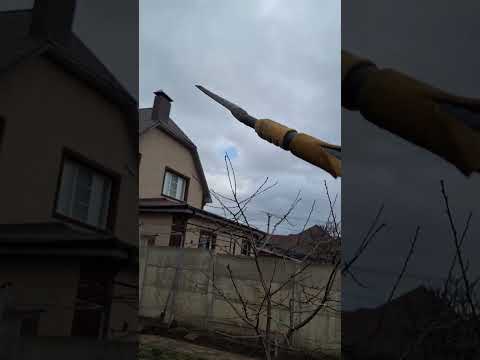 Видео: 26 марта 2025 г.