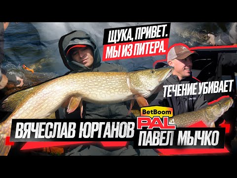 Видео: ЩУКА, ПРИВЕТ. МЫ ИЗ ПИТЕРА! Тренировки PAL 2025