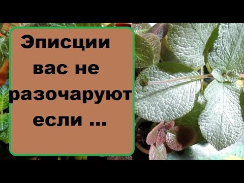 Видео: Для любителей эписций// Эписции вас не разочаруют , если ...