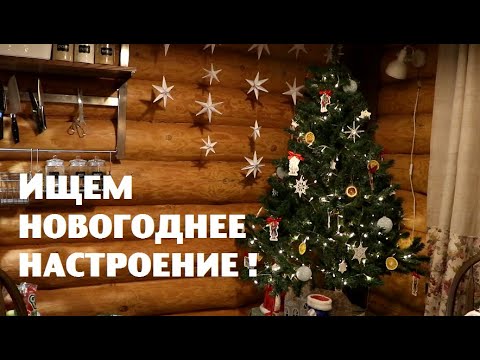 Видео: Пошёл по соседям искать новогоднее настроение!