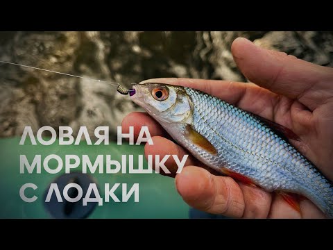 Видео: БЕЗМОТЫЛКА. ЛОВЛЯ НА МОРМЫШКУ С ЛОДКИ