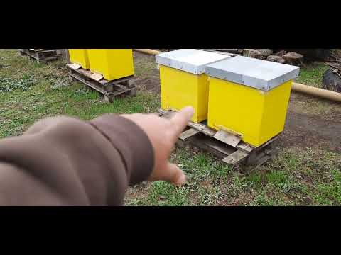 Видео: Ставлю загороджувачи від мишей!