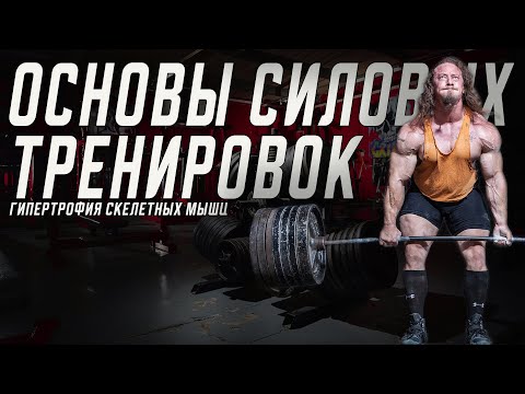Видео: Основы силовых тренировок. Мышечная гипертрофия.