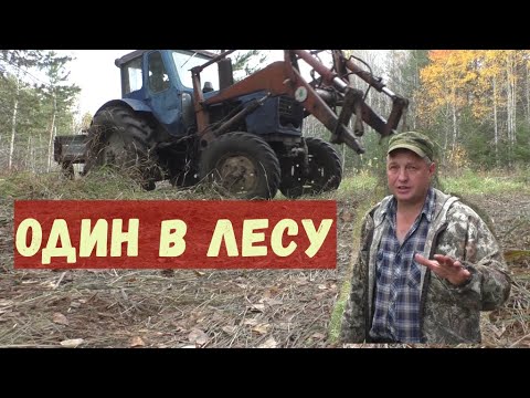 Видео: Приехал в лес пилить дрова. Деревня Окунево и заготовка дров для отопления.