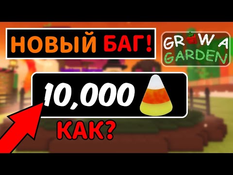 Видео: НОВЫЙ БАГ В GROW A GARDEN | КАК ФАРМИТЬ КОНФЕТЫ В ГРОВ Э ГАРДЕН | ЛУЧШИЙ ФАРМ КОНФЕТ В ГРОВ А ГАРДЕН