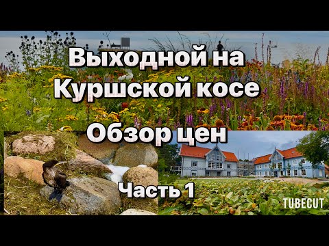 Видео: Куршская коса весь берег в мертвой рыбе . Где,что,сколько в Нида и Йодкранте Начало  #таещекулинарка