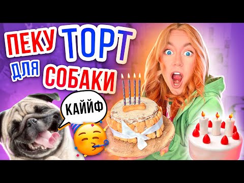 Видео: Пеку Тортик НА ДЕНЬ РОЖДЕНИЕ Бакса🎂👉Вкусный ТОРТ ДЛЯ СОБАКИ 🔥